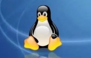 Linux Shell 自动交互/人机交互的 3 种方法