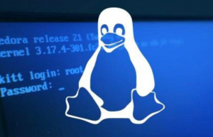 Linux服务器高并发调优实战