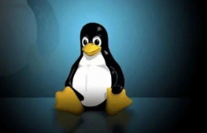 利用 Shell 脚本实现邮件监控 Linux 系统的内存