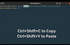超级小白帖：如何在Linux终端中复制粘贴