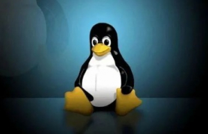 Linux磁盘空间释放问题