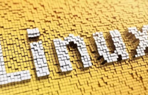 一行代码如何隐藏 Linux 进程？