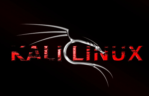 10 大白帽黑客专用的 Linux 操作系统