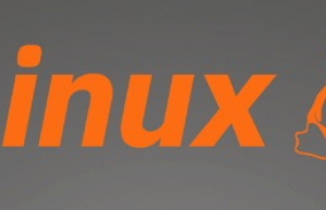 运维实战：Linux系统扩展oracle数据库所在的分区