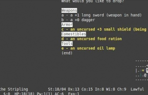 Linux系统中玩到让你停不下来的命令行游戏！