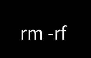 rm 删除文件空间就释放了吗？
