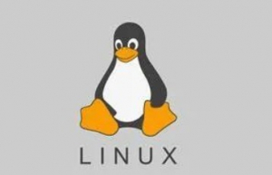 Linux系统如何设置开机自动运行脚本？