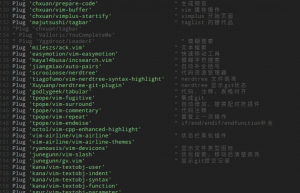 一个超级强大的vim 配置介绍：vimplus