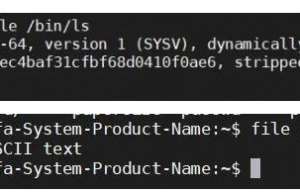 Linux 10个帮助你调试的命令