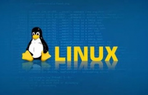 Linux删除目录下文件的10种方法
