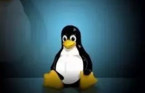 太赞了！两个技巧帮你记住复杂 Linux 命令！