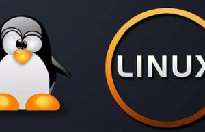 Linux学习-常见错误和快捷操作