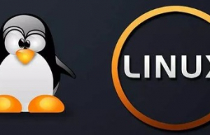 如何优雅地删除 Linux 中的垃圾文件