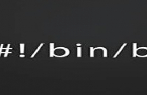 详解Linux bash变量