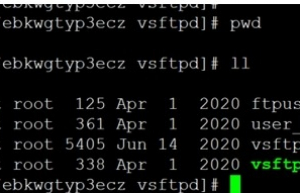 简述云服务器上，Linux安装VSFTPD组件及遇到的问题