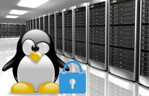 如何查找Linux 服务器的正常运行时间？