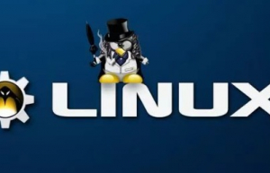 如何查看Linux系统的状态信息？