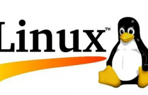 在Ubuntu18.04 上采用Docker 安装bitwardenrs和实现自动备份数据库