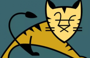 Linux 平台下 Tomcat 的安装与优化