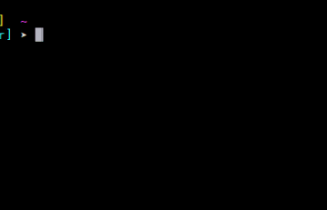 如何 SSH 到 Linux 服务器里的特定目录及执行命令？