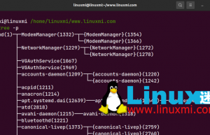 在 Linux 中如何查找父进程 PPID？