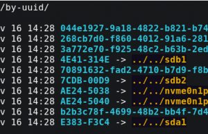 Linux 中如何获取磁盘分区的 UUID？