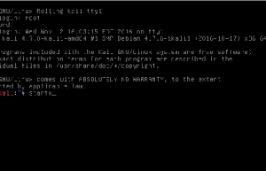 在Kali Linux下实战Nmap的秘诀