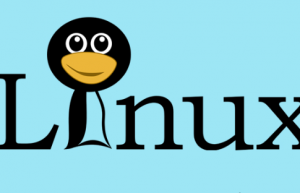 “作弊”：只需要知道这一个 Linux 命令就够了