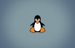 如何默认启动到 Linux 系统的旧内核