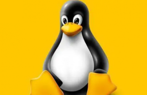 Linux源码包安装过程及注意事项