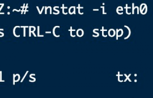 Linux查看进程占用网速和流量使用情况的三个命令：vnstat、iftop、nethogs