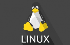 关于 Linux Bash Shell 中变量的 5 个易错点