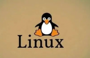 Linux 环境变量配置的 6 种方法，建议收藏！