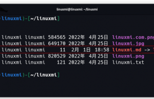 如何在 Linux 中创建符号链接 [完整指南]