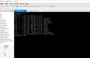 六款 Linux 常用远程连接工具介绍