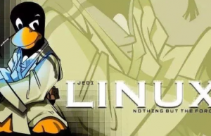 Linux内存中的Cache真的能被回收么？