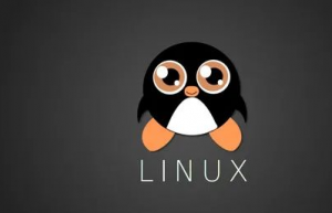 2022 年十大最佳 Linux 防病毒软件