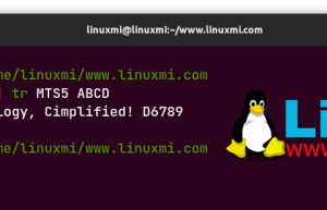 详解 Linux 上两个超有用重要的文本操作命令
