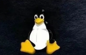 Linux下的TCP测试工具