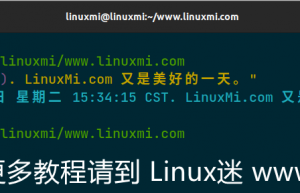 Bash 中的 ${} 和 $() 有什么区别