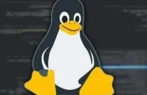 “作弊”：只需要知道这一个 Linux 命令就够了