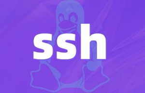 Linux 怎么防止 ssh 被暴力破解