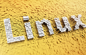 Linux 系统中如何查看当前所有登录的用户