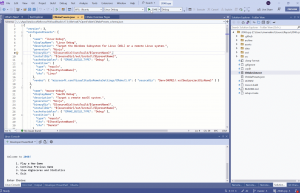 在 Visual Studio 集成终端中调试 C++ Linux 控制台程序