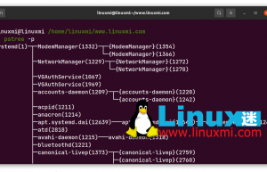 在 Linux 中如何查找父进程 PPID？