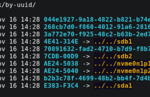 Linux 中如何获取磁盘分区的 UUID？