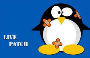 Livepatch —— 免重启给 Ubuntu Linux 内核打关键性安全补丁