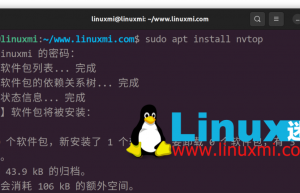 nvtop – 出色的 Linux 任务监视器