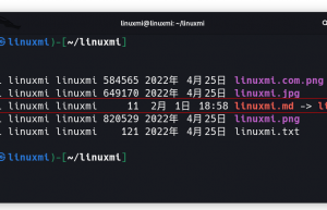 如何在 Linux 中创建符号链接 [完整指南]