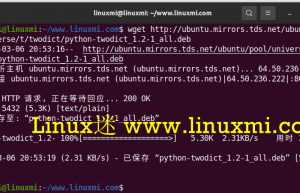 如何在Ubuntu 20.04 LTS中安装youtube-dlg GUI